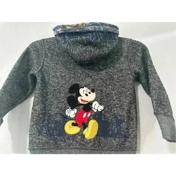 Walt Disney World Parks Youth Lg Hoodie Jacket Mickey Goofy All Embroidered 2019 - Picture 6 of 6